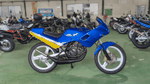 BDSバイクセンサー[360image]