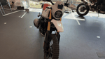 BDSバイクセンサー[360image]