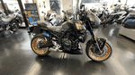 BDSバイクセンサー[360image]