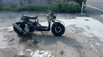 BDSバイクセンサー[360image]