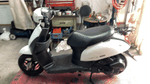 BDSバイクセンサー[360image]