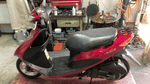 BDSバイクセンサー[360image]