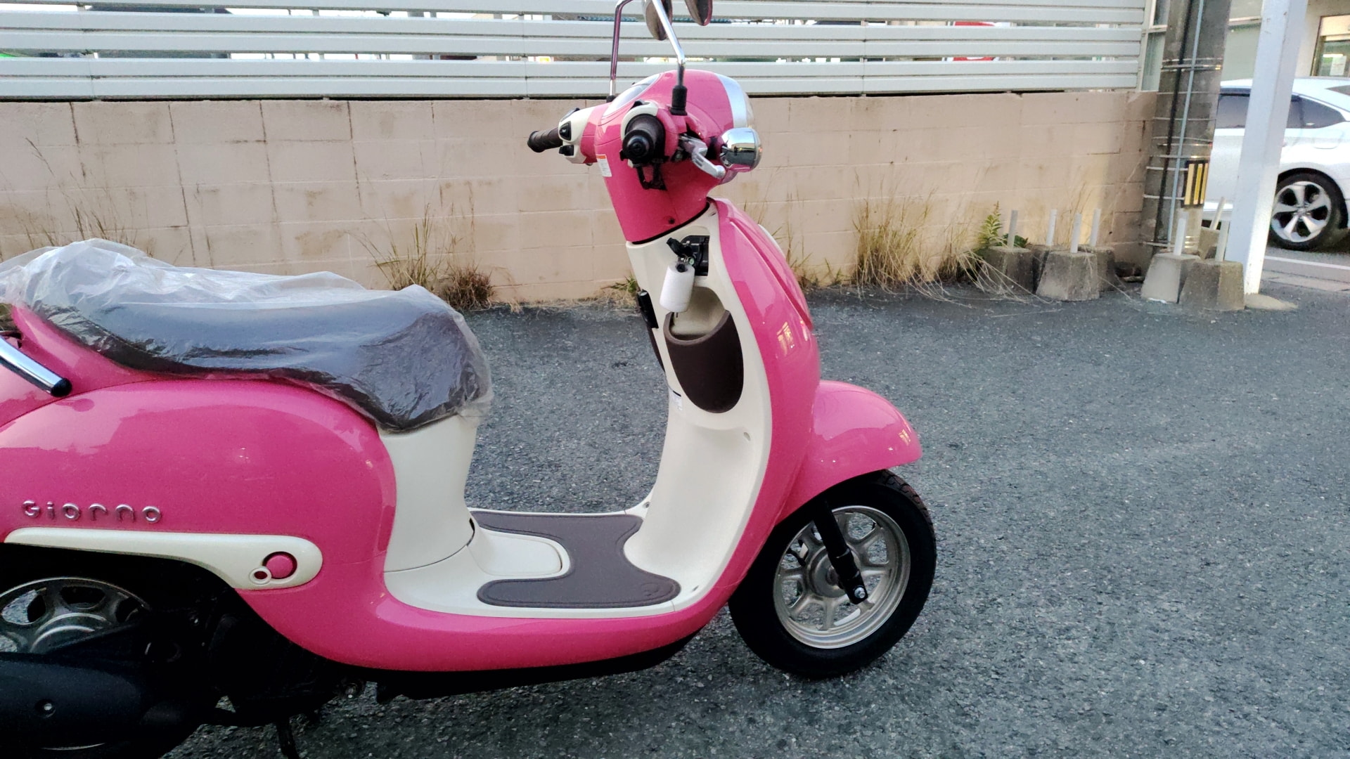 ホンダ ジョルノ サマーピンク 国内正規 B206685| BDSバイクセンサー