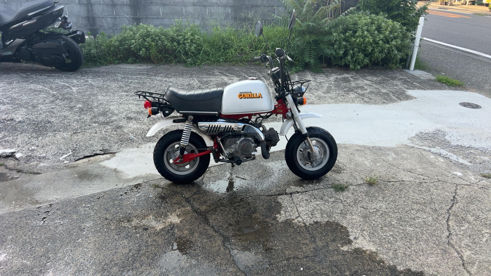 ホンダ ゴリラ 50 Z50J ワンオーナー車 ノーマル車 キャブレターO/H F